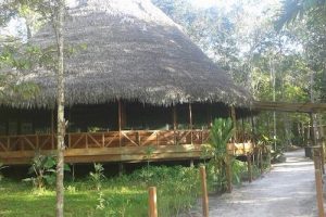 Maloka at Caya Shobo Ayahuasca Healing Retreat Center