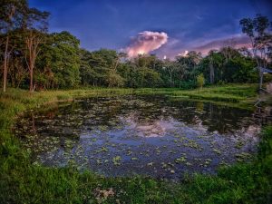 Ponds at Caya Shobo Retreat Center